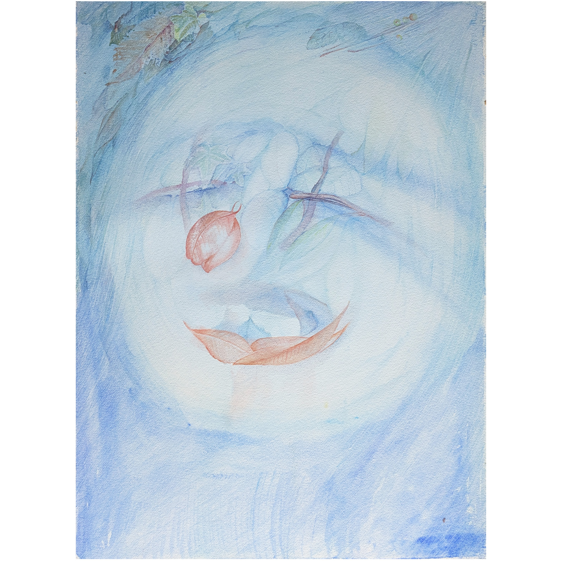 Clown Face